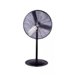 BE 30" Oscillating 2 Speed Pedestal Fan