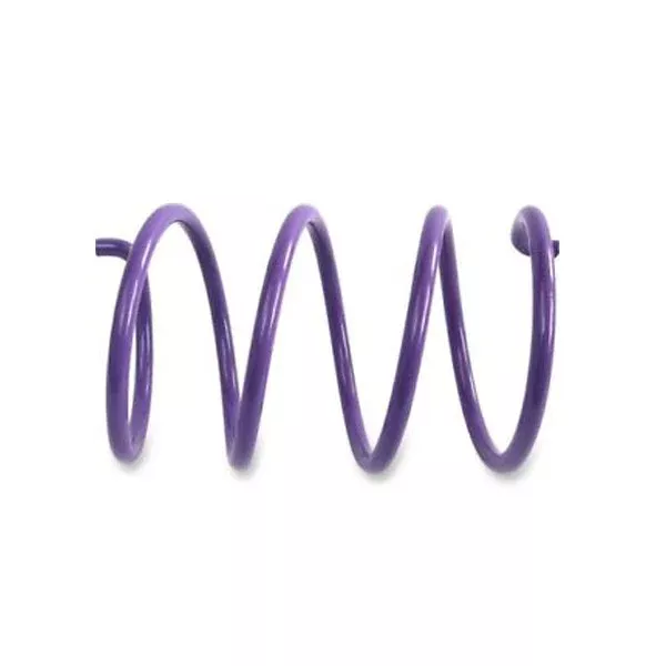 EPI SECONDARY CLUTCH SPRING (ACSS-5)
