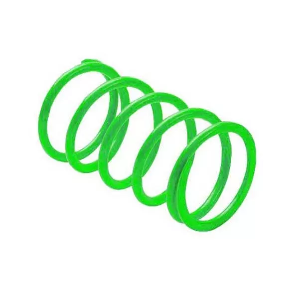 EPI SECONDARY DRIVEN CLUTCH SPRING (PEBS9)