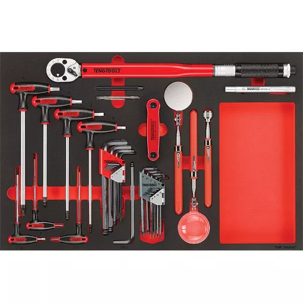 Teng 17Pc Torque Wrench Hex/Tx & insp Tool Set Eva